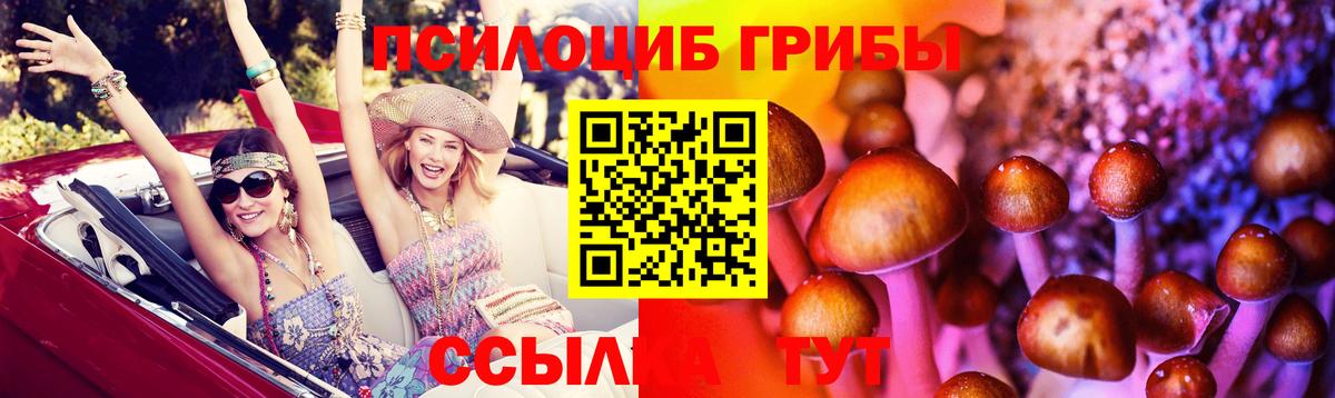 Кандалакша  Псилоцибиновые грибы мухоморы  Вход с VPN 
